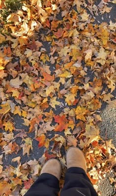 a person standing in front of leaves on the ground