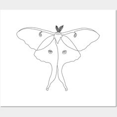 a black and white drawing of a moth