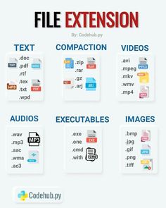 the different types of file extensions are shown in this graphic style, including text and images