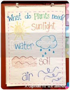 a bulletin board with writing on it that says what do plants need? sunlight water soil air