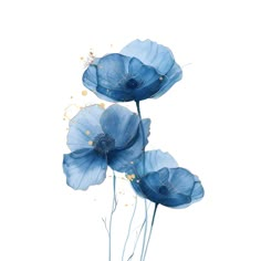 three blue flowers on a white background