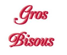 the words gross and bisons are in red letters on a white background that says gross