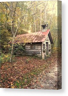 an old cabin in the woods surrounded by leaves