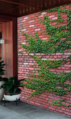 faux brick bar wallpaper Brick Wall With Greenery, Brick Wall Design Outdoor, Murals On Brick Walls, Wall Brick Design, Plant Wall On Brick, Plant Wall Brick, Brick Wall Mural, Brick Wall Design, Outside Brick Wall Decor Ideas