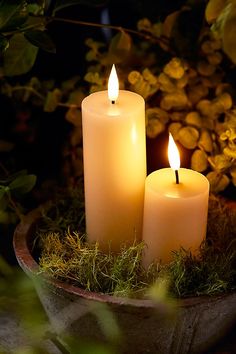 two lit candles sitting on top of a potted plant