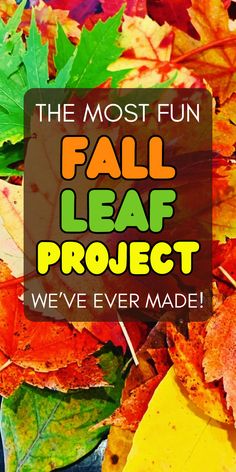 the most fun fall leaf project we've ever made is featured in this post