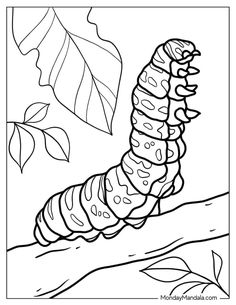 the very hungry caterpillar is sitting on a tree branch and eating it's own food