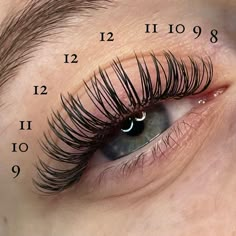 Classic Doll Eye Mapping, Doll Eye Classic Lash Map, Lash Maps For Different Eye Shapes, Open Eye Classic Lash Extensions Mapping, Lash Doll Eye, Lash Mapping Doll Eye, Lash Extensions Doll Eye Style, Doll Lash Extensions Map