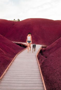 a woman and her dog walking down a wooden path in the middle of red hills