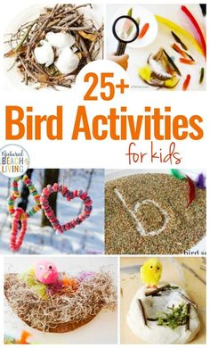 25 bird activities for kids that are fun and easy to do with the birds in their nest