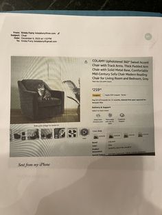 a newspaper article with an image of a cat sitting in a chair