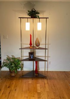 a shelf with two vases on top of it and a potted plant next to it