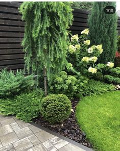 a garden with lots of green grass and trees