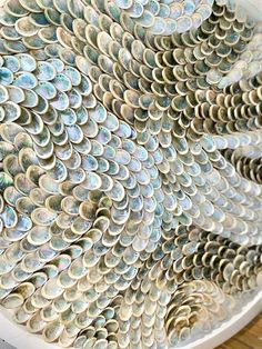 a close up of a peacock's tail made out of shells on a table