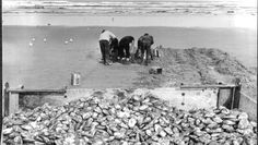 an old black and white photo of men loading rocks into the water at the beach