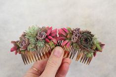 a hand holding a hair comb with succulents on it's sides