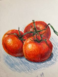 Рисования Tomato Colored Pencil Drawing, Fruit Art Sketch, Bell Pepper Reference, Color Pencil Still Life, Drawing Ideas Pencil Colour, Drawing Ideas With Colored Pencils, Draw Tomato, Tomatoes Drawing, Drawing Ideas Color