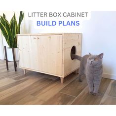 Cat litter box enclosure Ikea Litter Hack, Litter Box Bookshelf, Stacked Litter Boxes, Ivar Cat Tree, Cat Door Diy, Ivar Shelving, Kitten Ideas, Ivar Cabinet