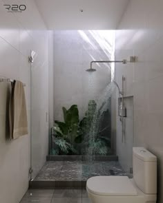 a white toilet sitting next to a shower in a bathroom under a skylight with plants on the wall