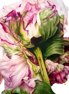 a painting of pink and green flowers with leaves on the bottom, in front of a white background