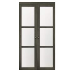 a double door with glass panels on the front and side doors, in dark brown