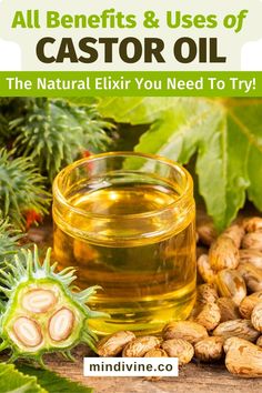 Castor oil has been used for thousands of years to treat various ailments and for skin and hair care. For its properties and healing benefits, it is a great ally of health and beauty. Also called Castor Oil (Castor Oil), discover in this article all that this oil can do for you. #hair #dark circles #eyelashes #eyebrows #eyes #blemishes Uses For Castor Oil, Castor Oil Benefits Skin, Uses Of Castor Oil, Castrol Oil, Castor Oil Uses, Castor Oil For Skin, Castor Oil Eyelashes, Jamaican Castor Oil, Pure Castor Oil