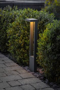 a light that is sitting in the middle of some bushes