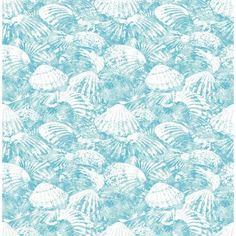 a blue and white wallpaper with seashells on it