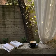 a cup of coffee and an open book sitting on a ledge in front of a tree