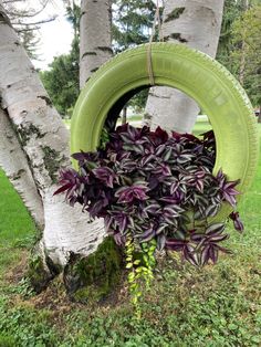 a green tire hanging from a tree with purple flowers in front of it on the ground