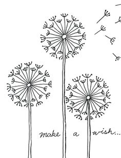 three dandelions with the words make a wish written in black ink on white paper