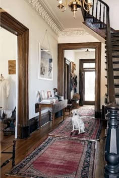 a white dog sitting on top of a rug in front of a stair case next to a wooden banister