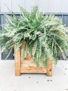 a potted plant sitting on top of a wooden stand