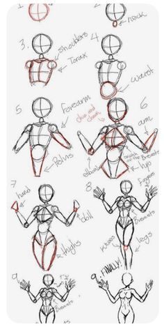 how to draw the human body in 3 easy steps with this step by step drawing guide