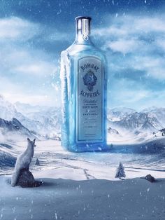 a bottle of vodka sitting on top of snow covered ground