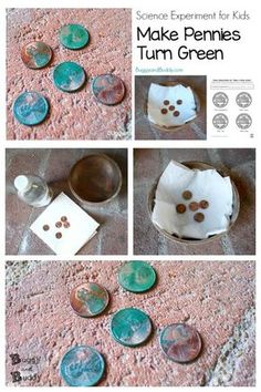 science experiment for kids make pennies turn green and then put them on the ground