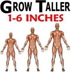 an image of a man's muscular body and six different stages to grow taller