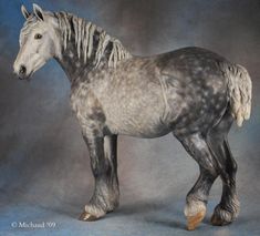 a gray and white horse standing on top of a blue background