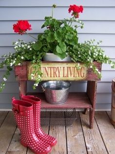 a potted plant sitting on top of a wooden bench next to a rain boot