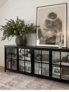 a black cabinet with glass doors and some plants on the top shelf next to it