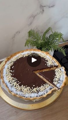 a chocolate cake on a gold platter with a slice taken out of it and a potted plant in the background