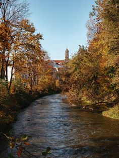 a river running through a lush green forest