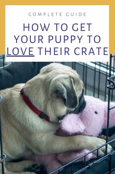 a dog sitting in a cage holding a stuffed animal with the words, how to get your puppy to love their crate