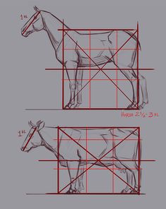 a drawing of a horse is shown in three different angles, with the lines drawn to show it's body