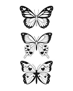 three butterflies with black and white wings