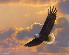 an eagle flying through the sky with clouds