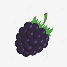 a bunch of grapes with green leaves on the top, fruit, berries, berry png and psd