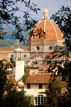 the dome of an old building is seen through some trees in front of other buildings