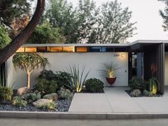 a house with plants and rocks in the front yard