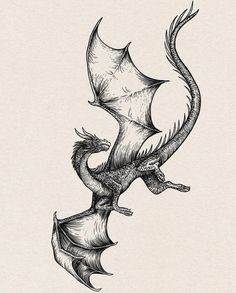 a black and white drawing of a dragon flying through the air with its wings spread